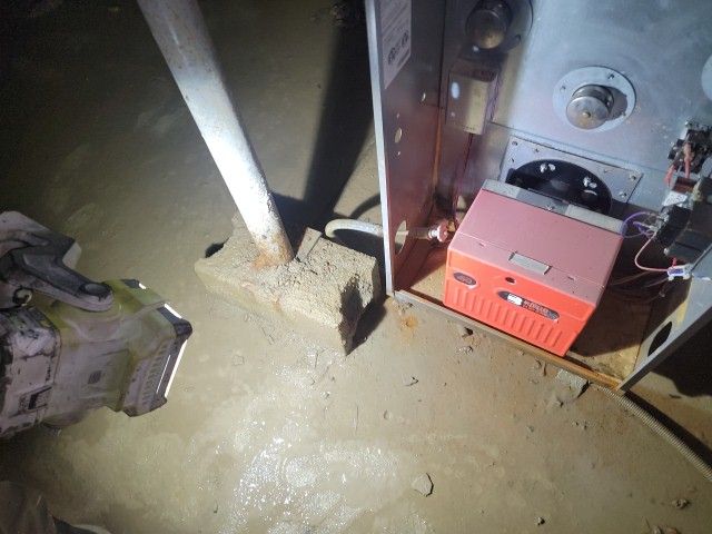 37774852_1653064256111