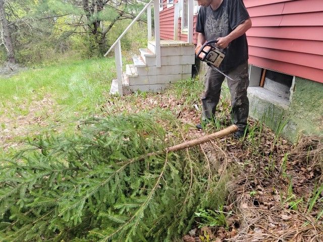 37774854_1653069426719